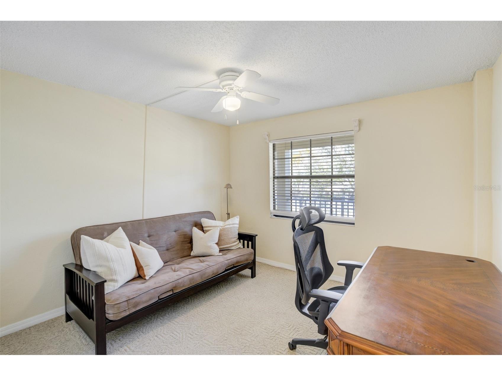 460 Paula Drive S #401 Dunedin FL 34698 TB8473334 image13