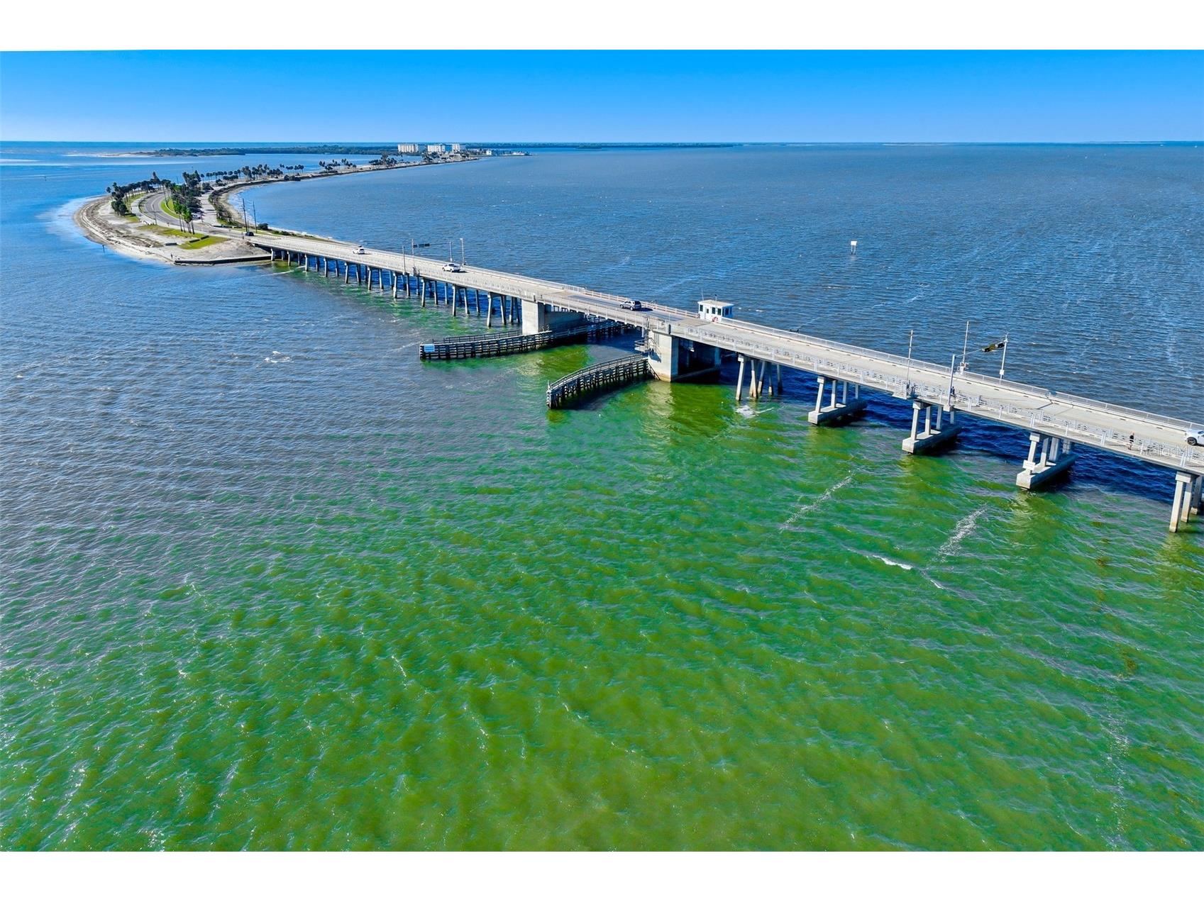 460 Paula Drive S #401 Dunedin FL 34698 TB8473334 image21