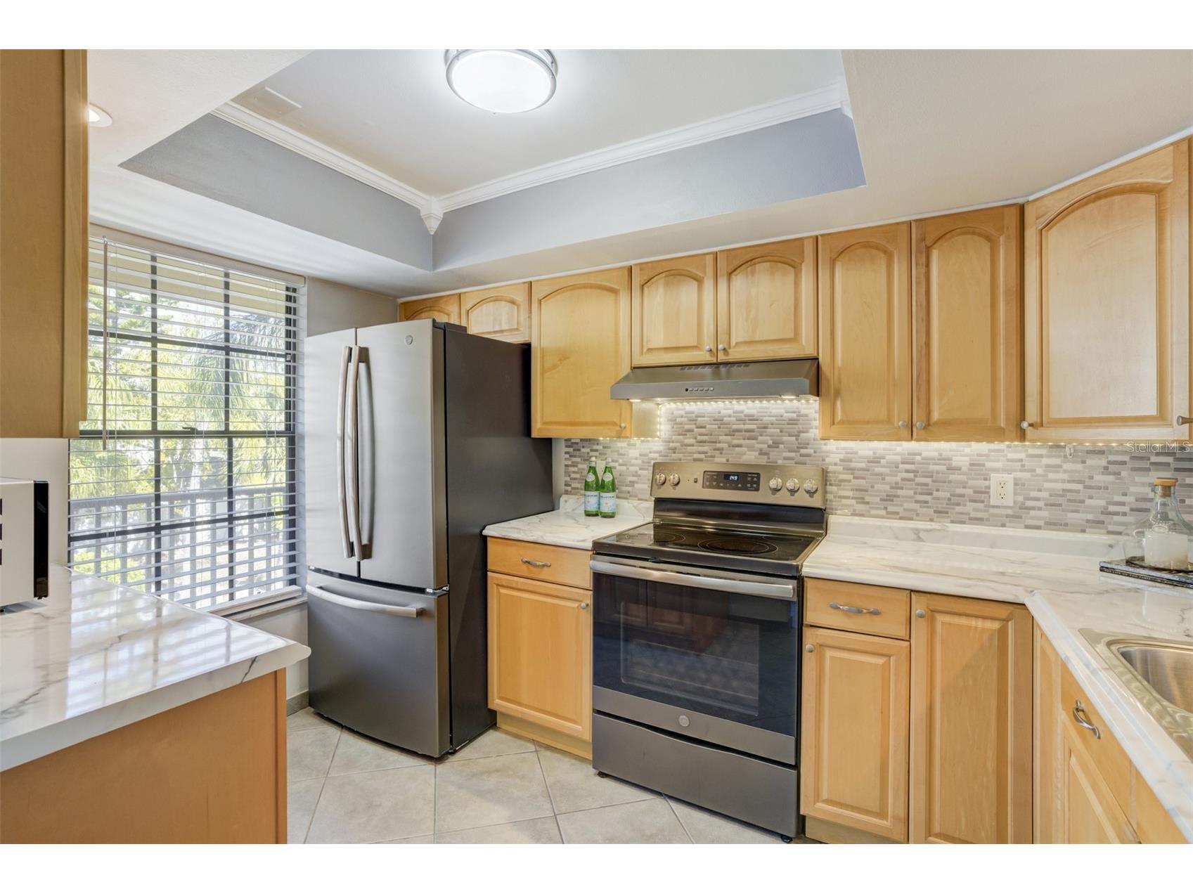 460 Paula Drive S #401 Dunedin FL 34698 TB8473334 image5