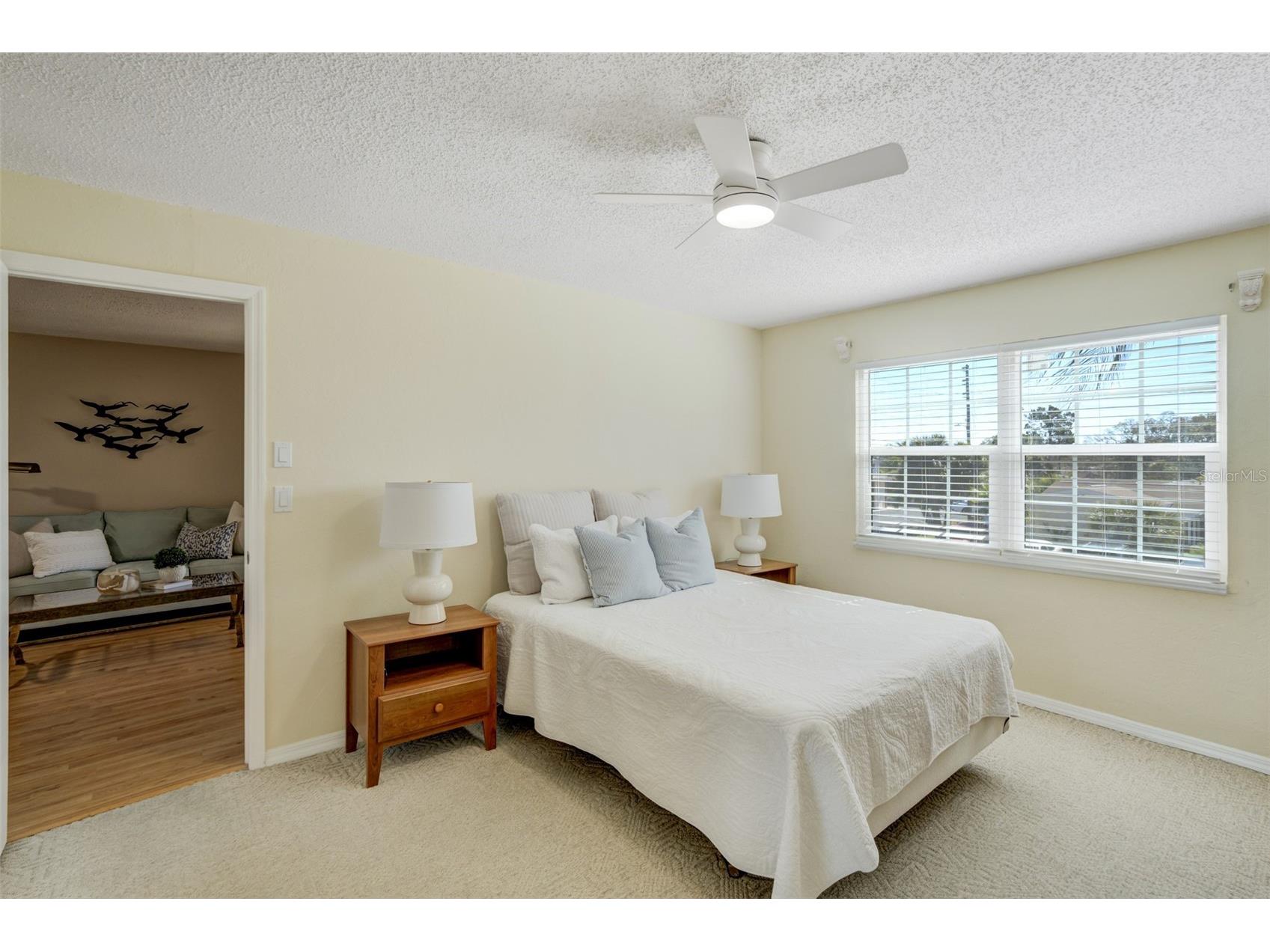 460 Paula Drive S #401 Dunedin FL 34698 TB8473334 image8