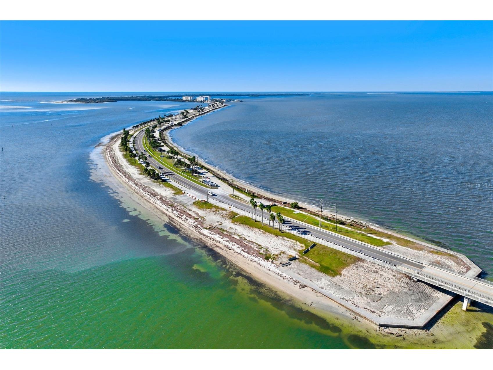 460 S Paula Drive #402 Dunedin FL 34698 TB8493822 image18