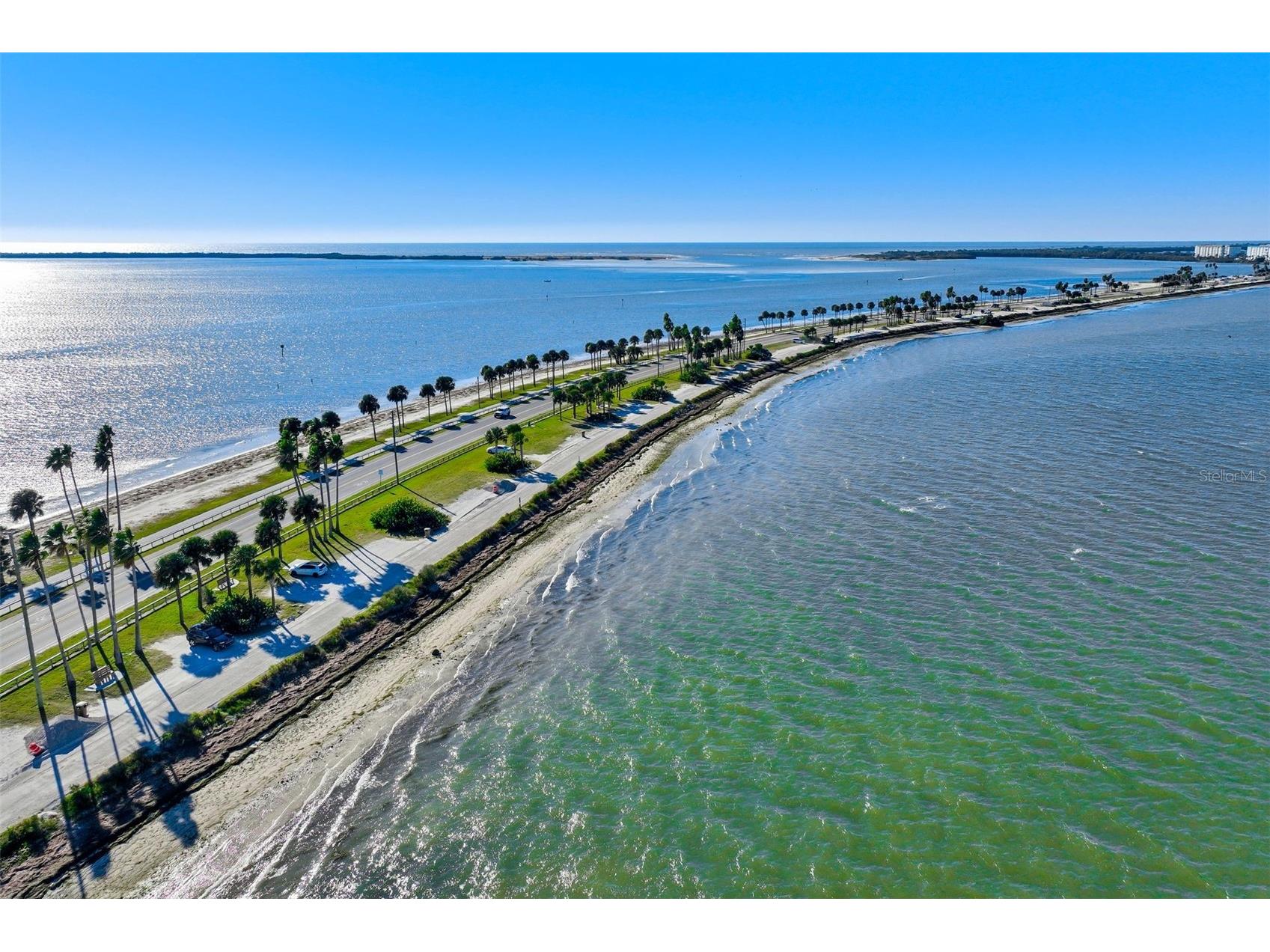 460 S Paula Drive #402 Dunedin FL 34698 TB8493822 image19