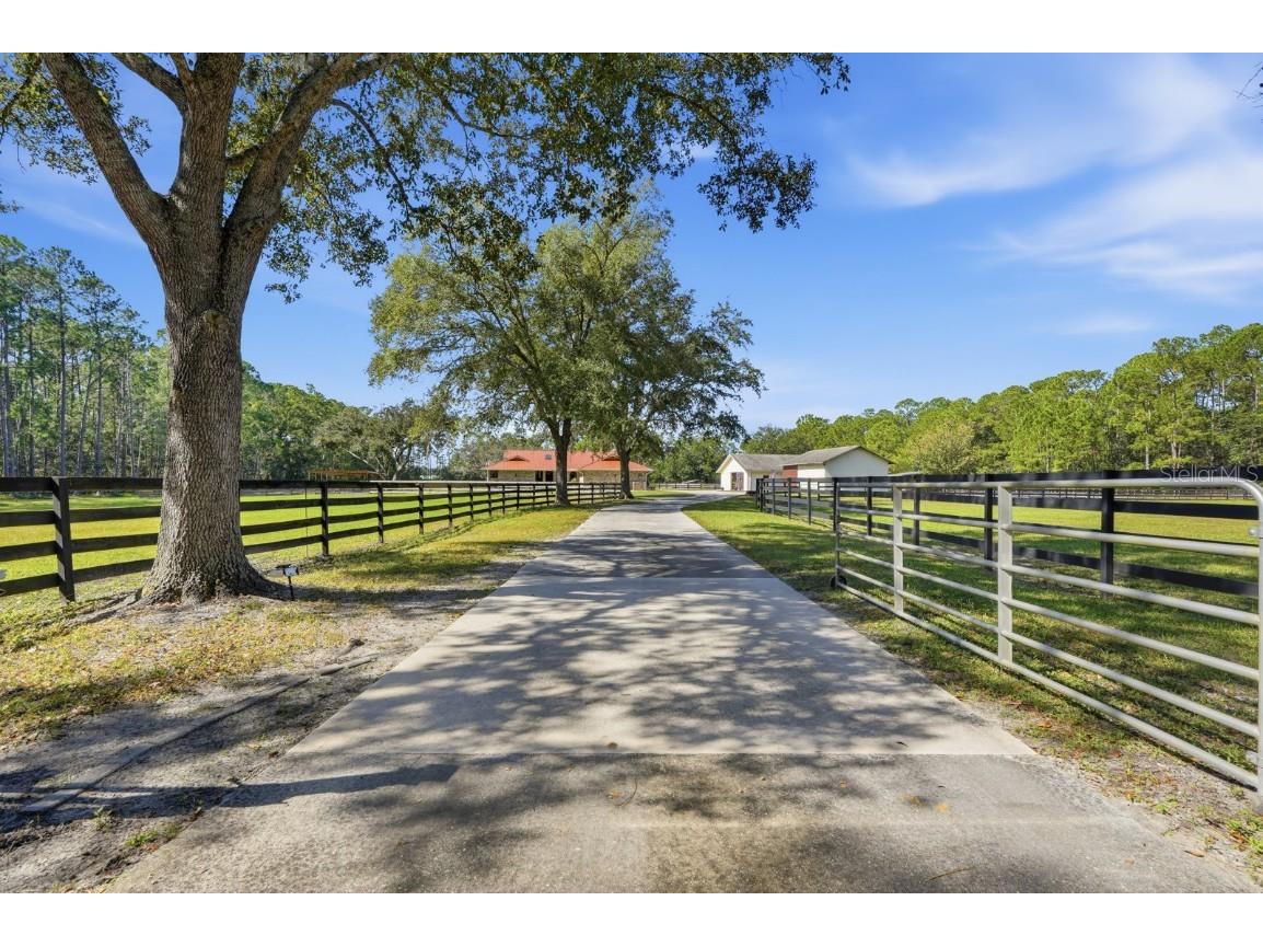 460 Spring Forest Drive New Smyrna Beach FL 32168 V4945841 image2