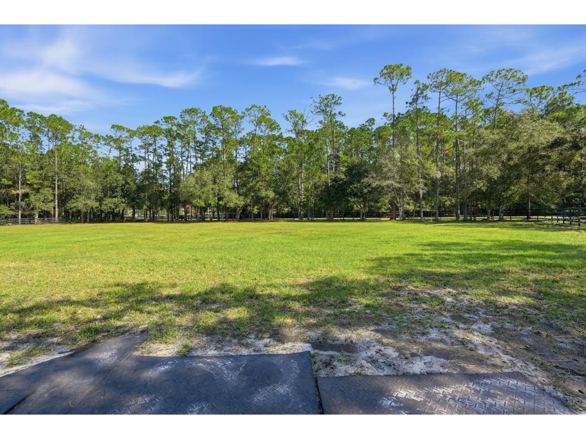 460 Spring Forest Drive New Smyrna Beach FL 32168 V4945841 image73