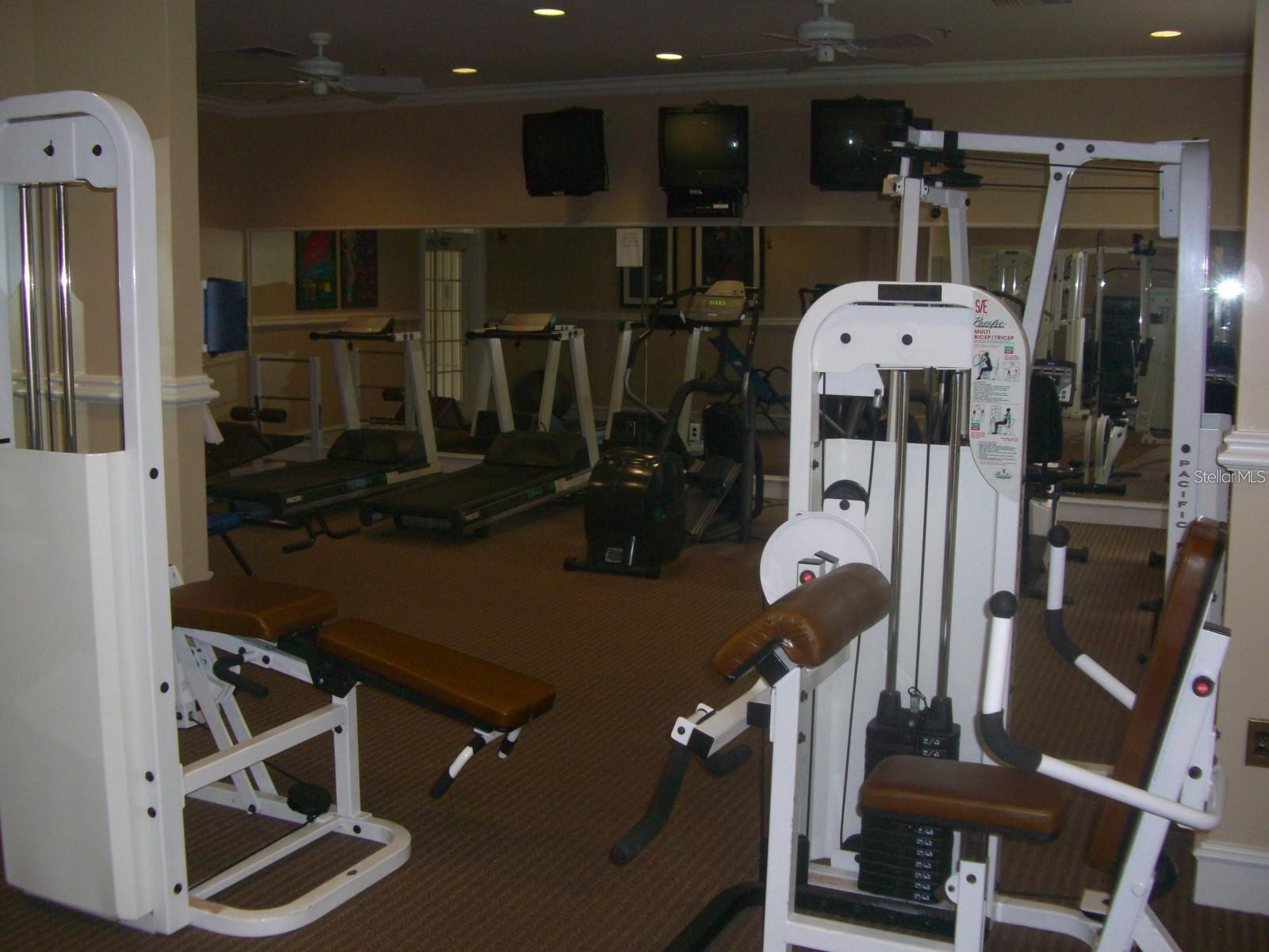 460 Water Street #460 Celebration FL 34747 S5146519 image24