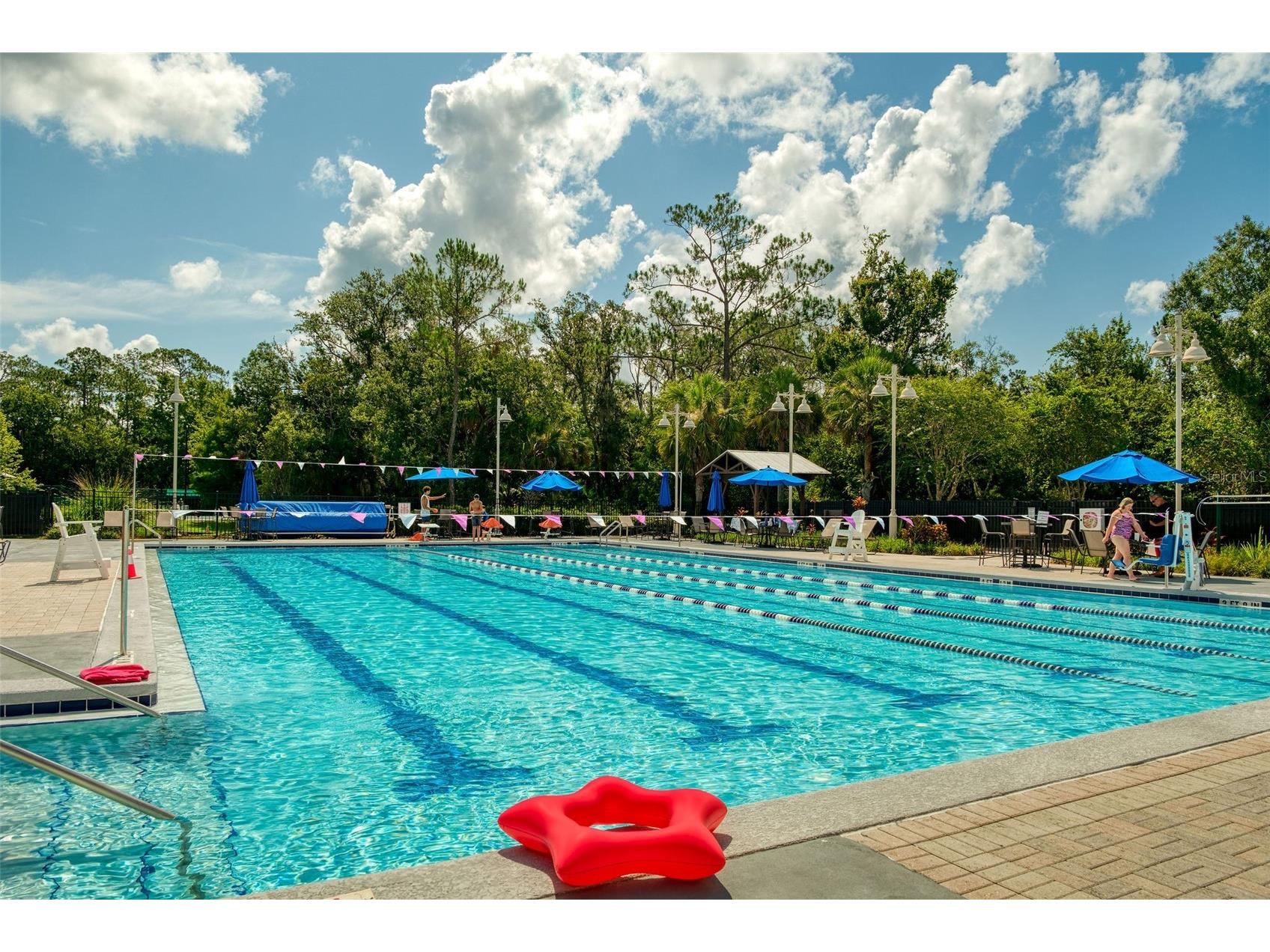 460 Water Street #460 Celebration FL 34747 S5146519 image30