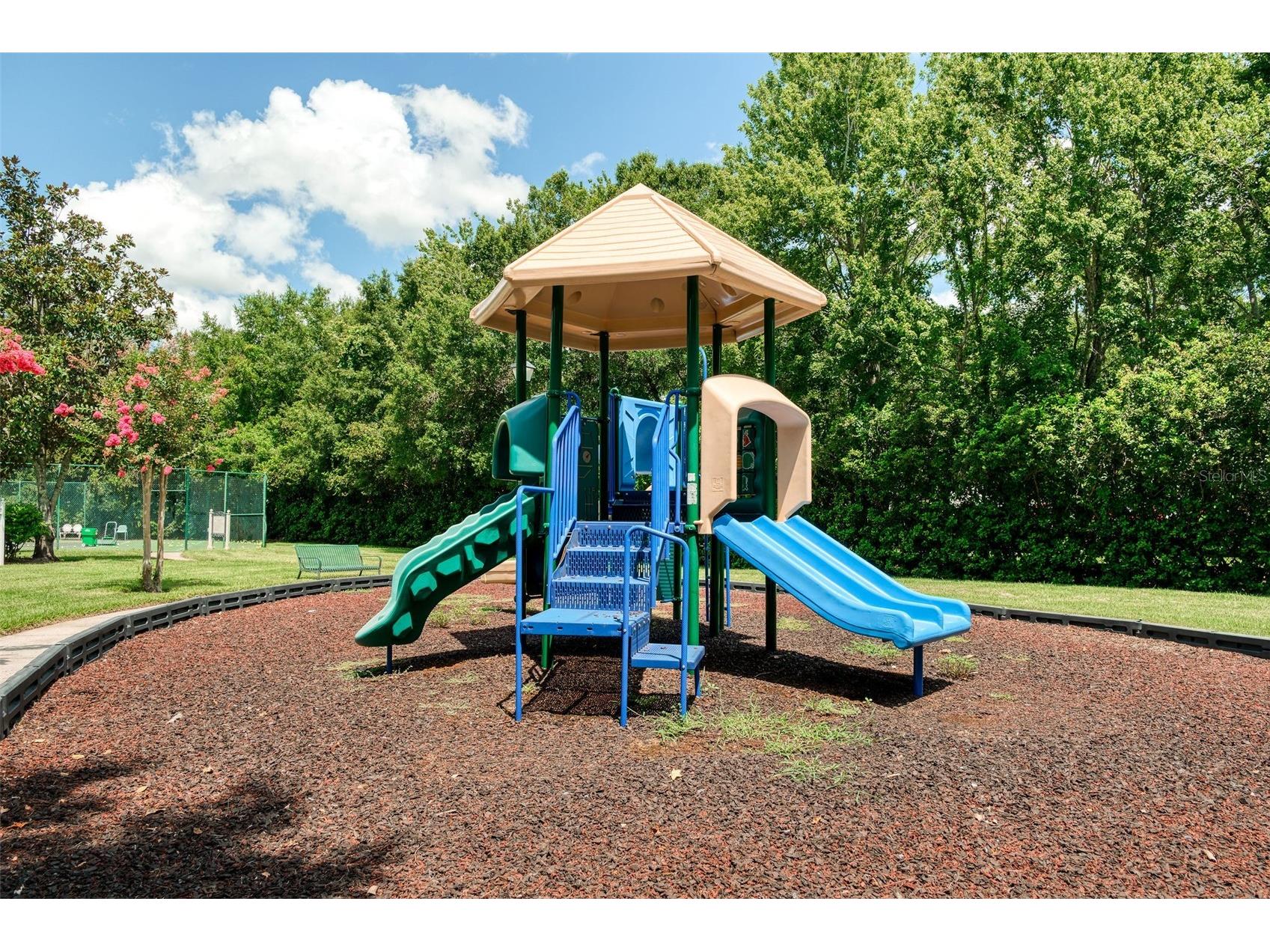 460 Water Street #460 Celebration FL 34747 S5146519 image32