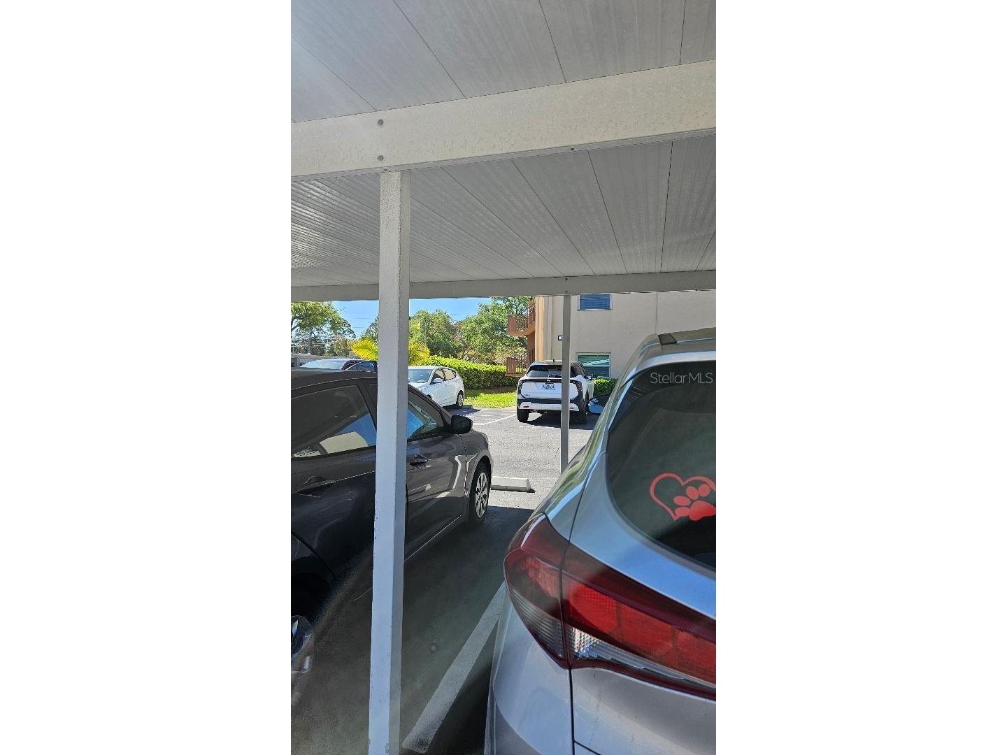 4600 98th Way N #210 Saint Petersburg FL 33708 TB8484650 image31