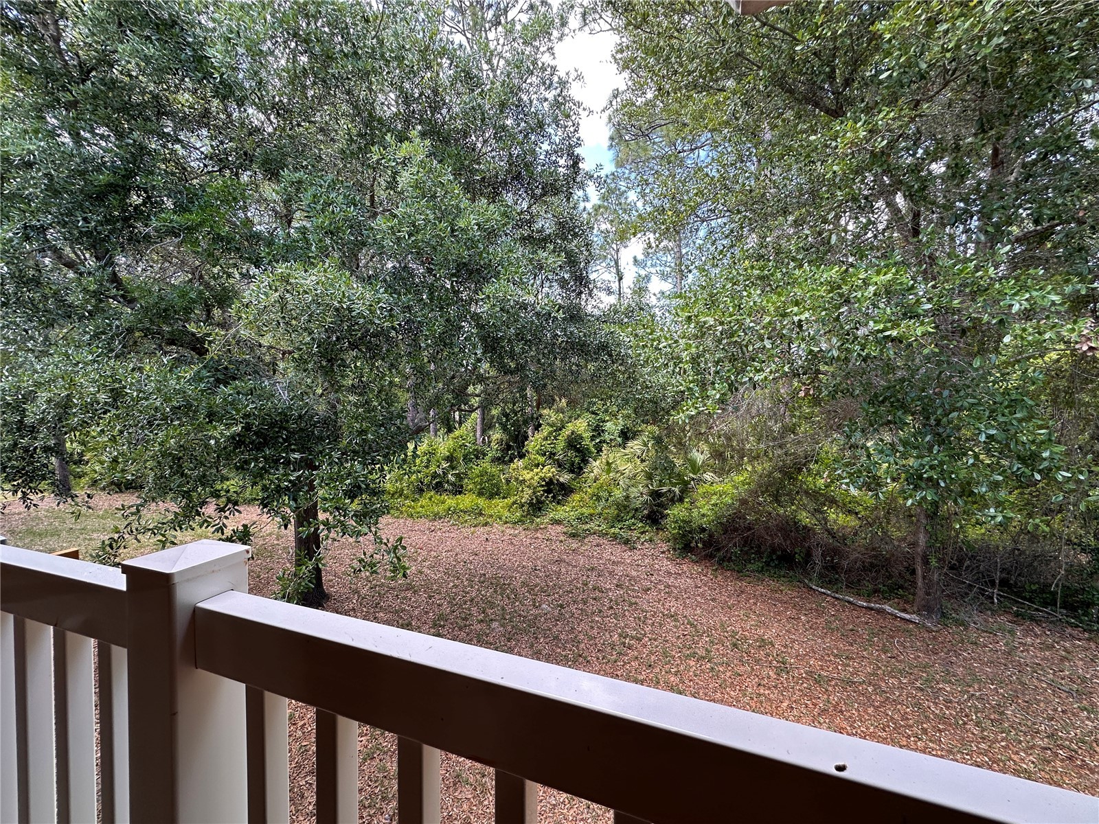 4600 E Moody Boulevard #8M Bunnell FL 32110 FC318126 image22