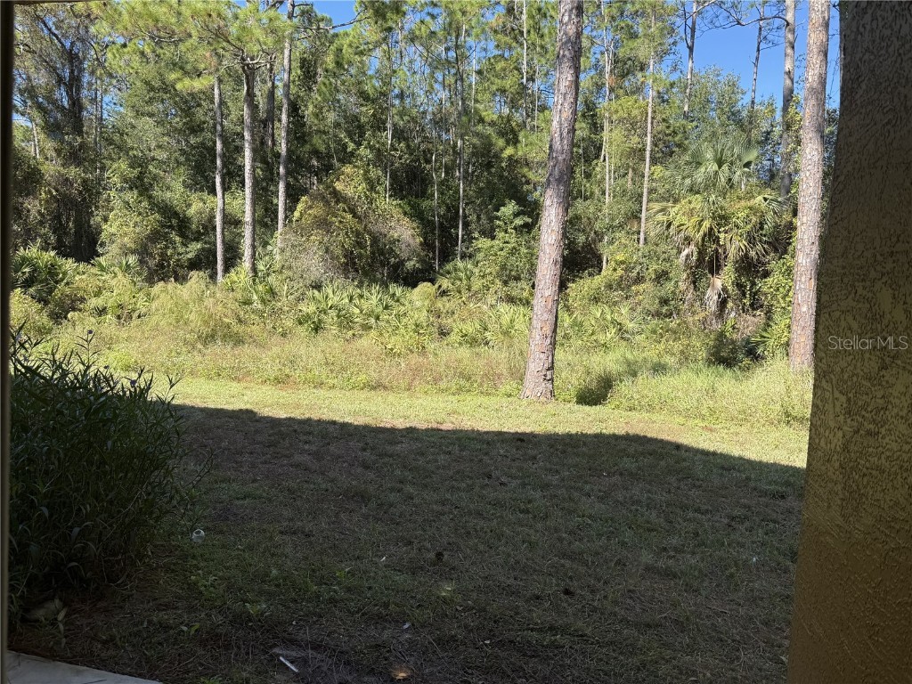 4600 E Moody Boulevard #9E Bunnell FL 32110 FC314144 image26