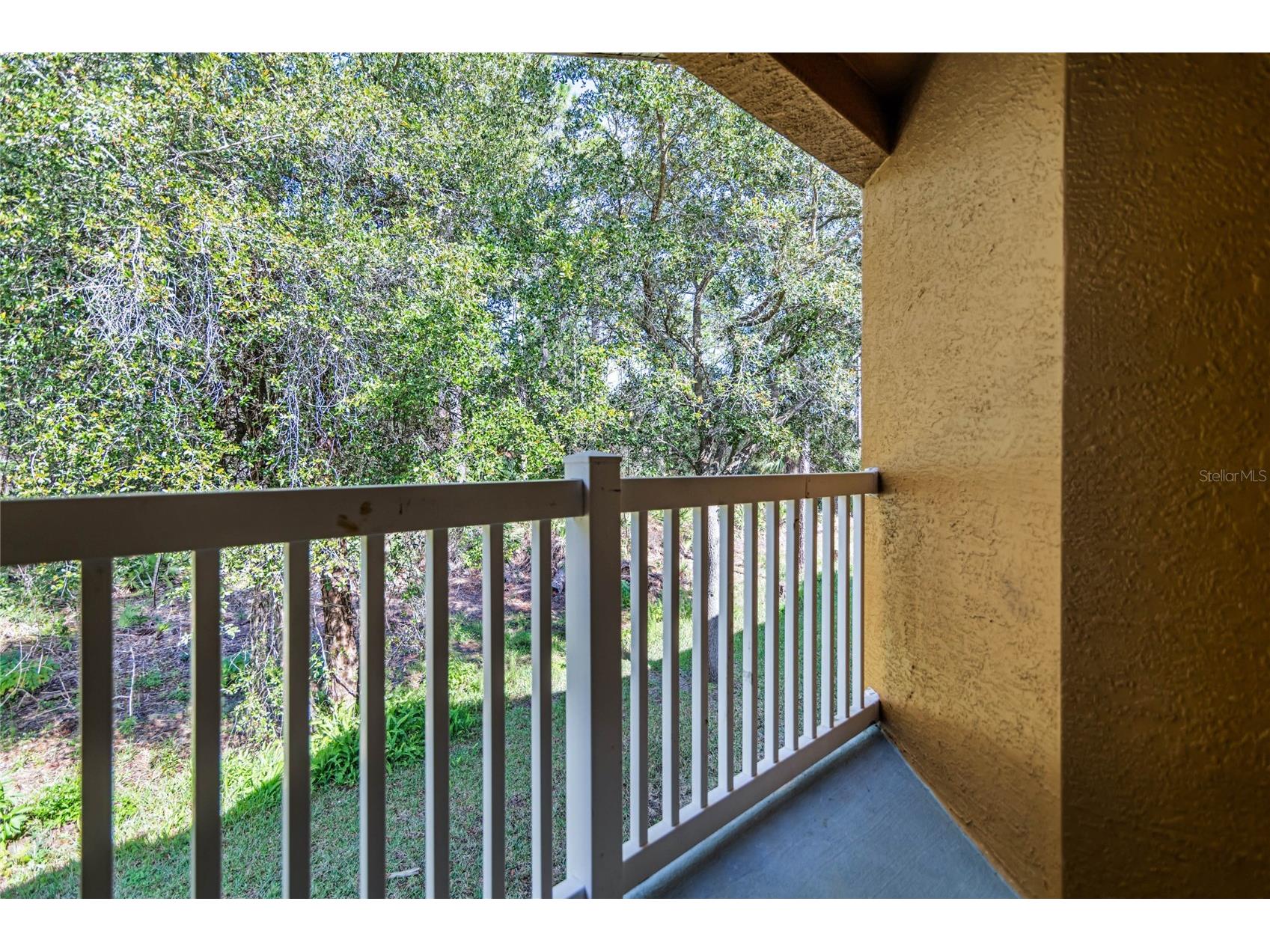4600 E Moody Boulevard #9N Bunnell FL 32110 O6379861 image27