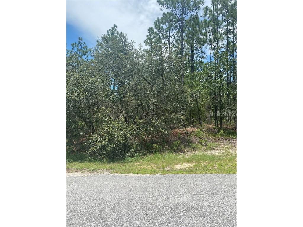 4600 N Buffalo Drive Beverly Hills FL 34465 O6128409 image1