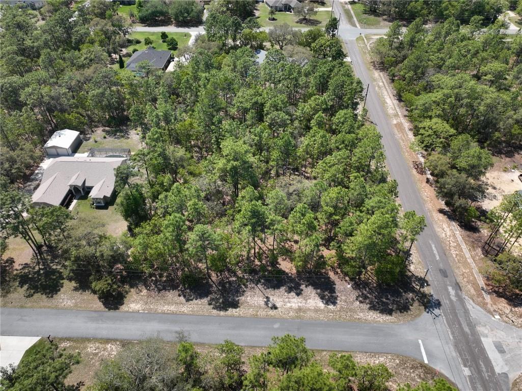 4600 N Ficus Drive Beverly Hills FL 34465 TB8374914 image1