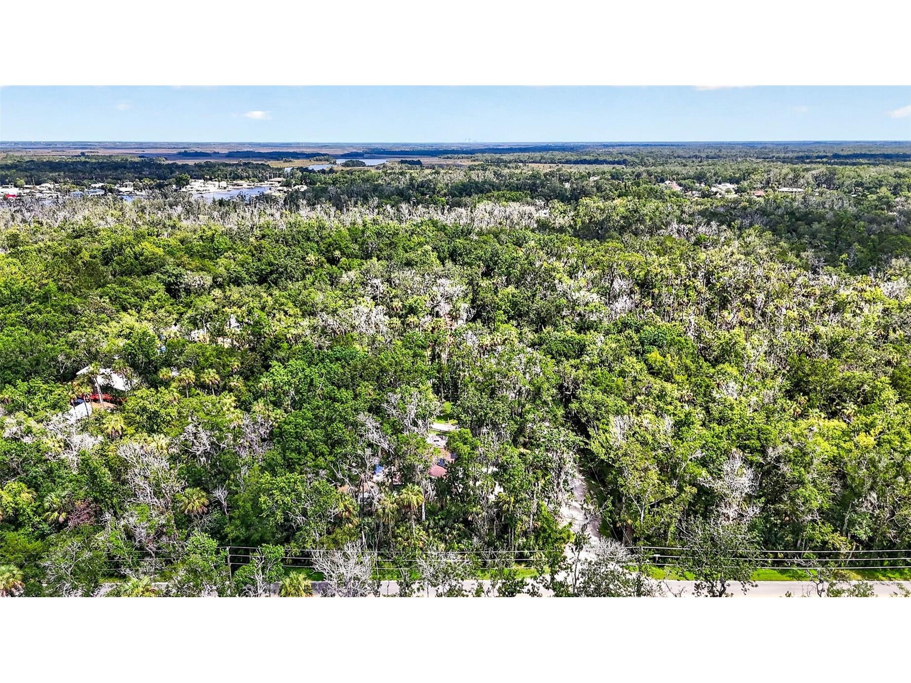 4600 S Lewoods Drive Homosassa FL 34448 OM727354 image78
