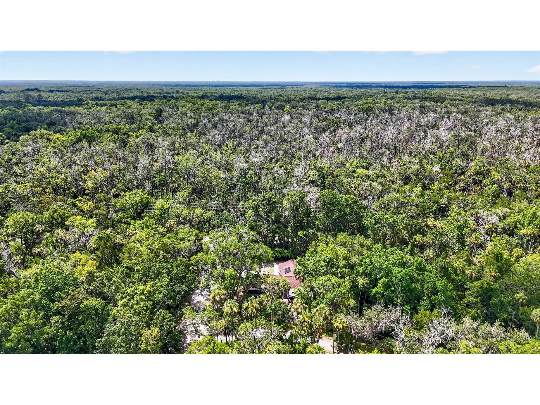 4600 S Lewoods Drive Homosassa FL 34448 OM727354 image86