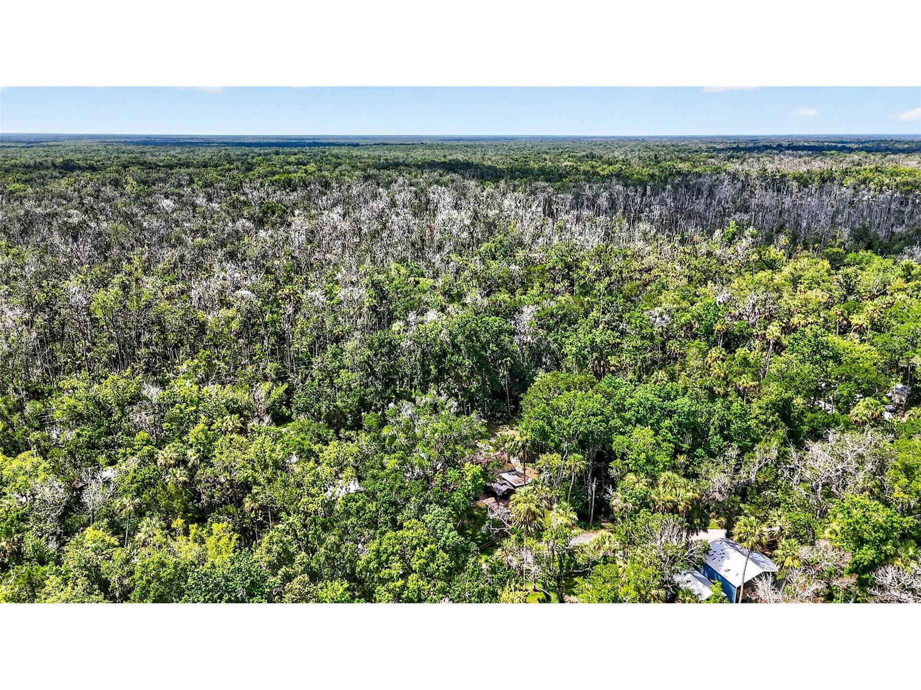 4600 S Lewoods Drive Homosassa FL 34448 OM727354 image88