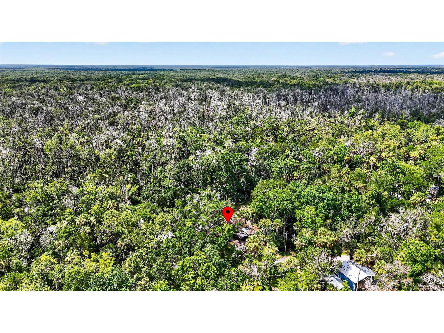 4600 S Lewoods Drive Homosassa FL 34448 OM727354 image89