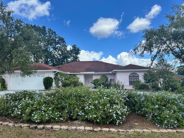 4600 Victoria Road Land O Lakes FL 34639 W7879397 image1