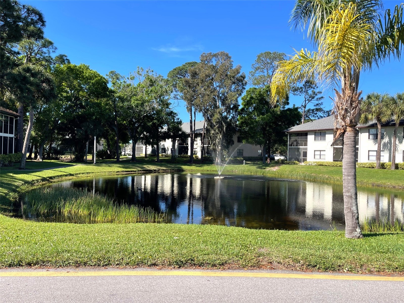 4601 46th Street Court W #202B Bradenton FL 34210 A4604132 image24
