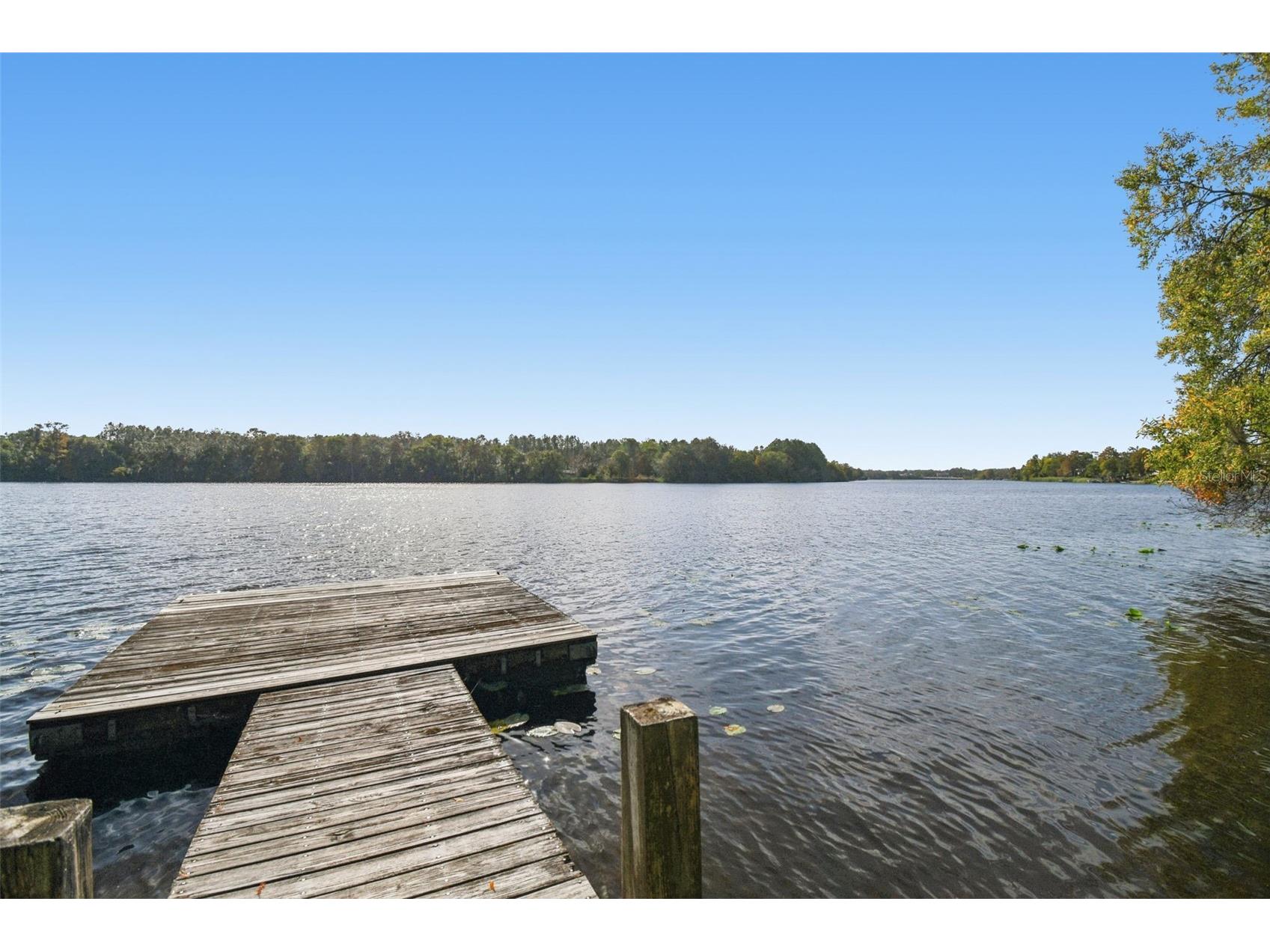 4601 River Hills Drive Tampa FL 33617 - HILLSBOROUGH RIVER TB8459593 image1