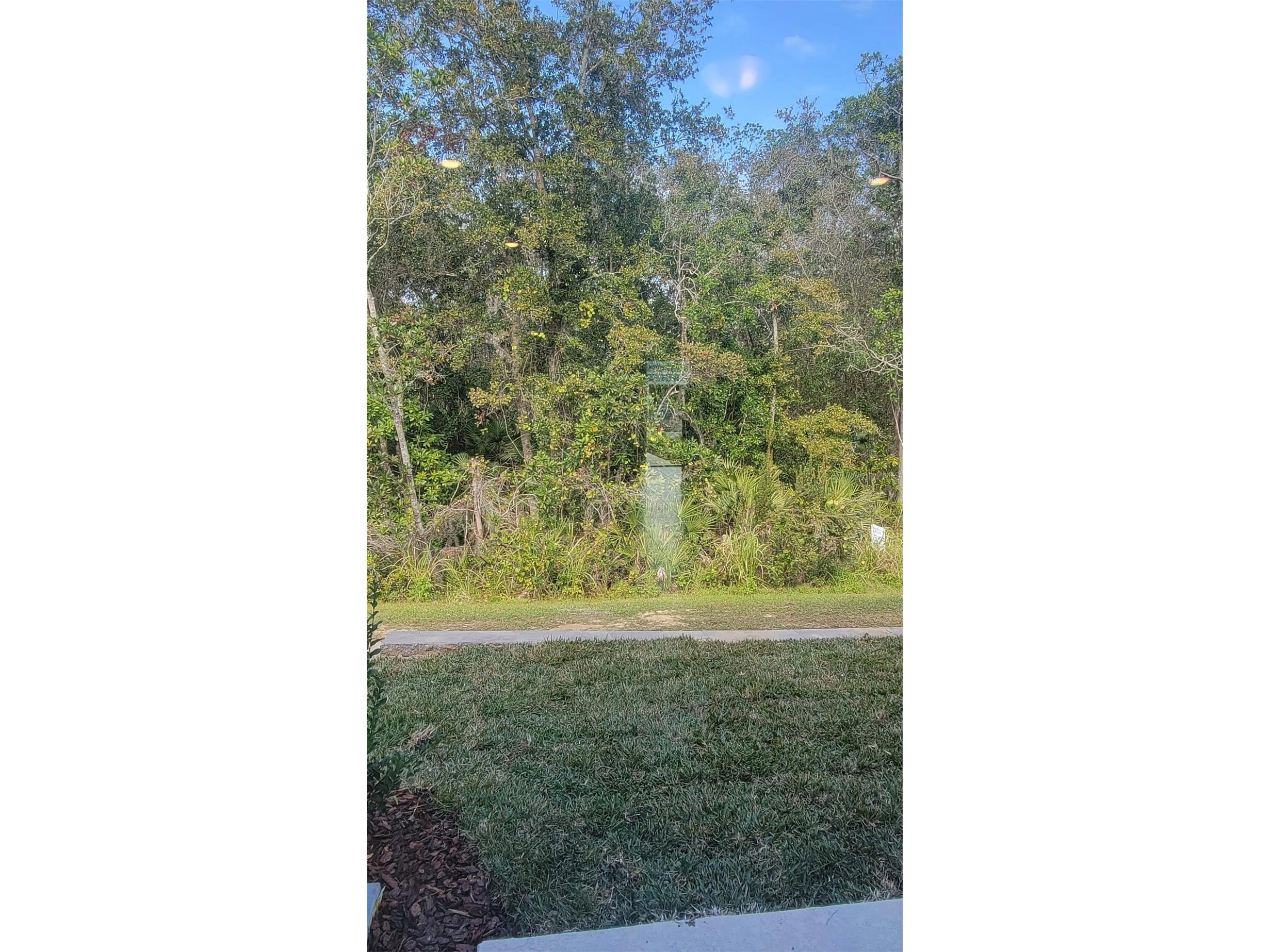 4601 Sparkling Shell Avenue Kissimmee FL 34746 S5143245 image11