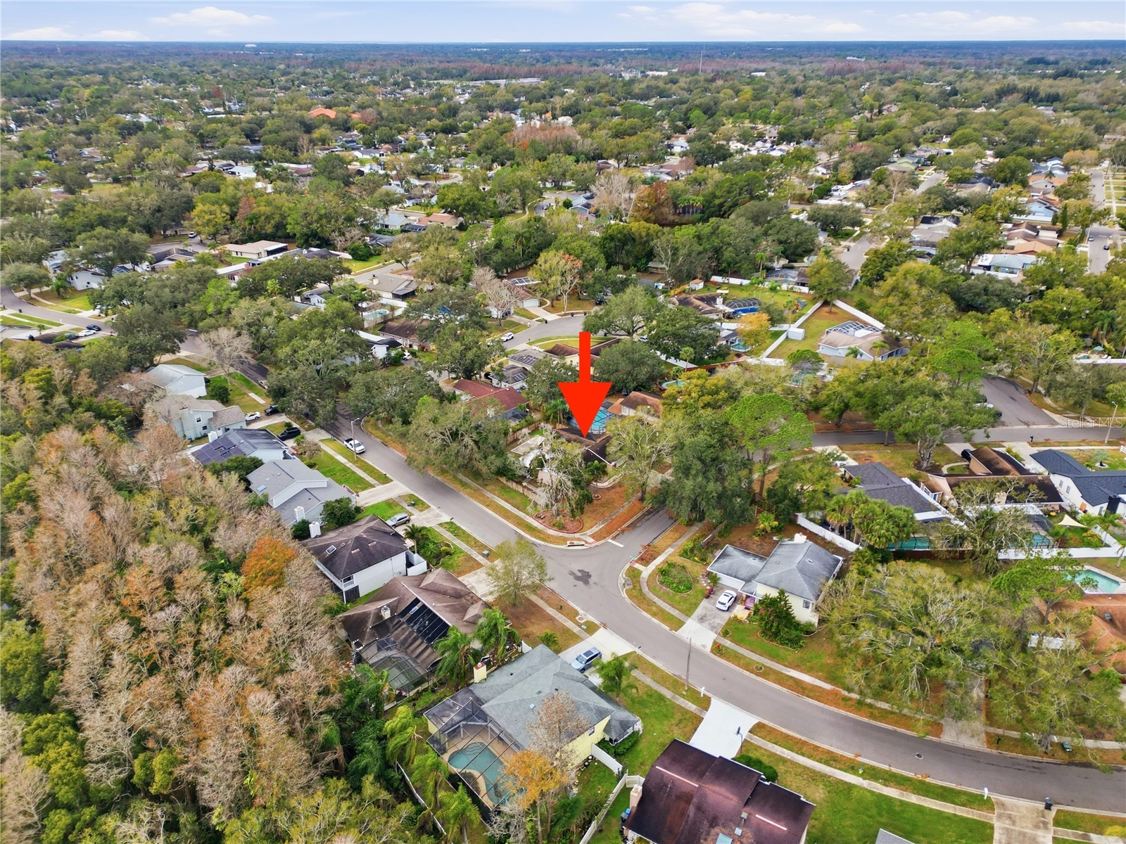 4602 Buckeye Road Tampa FL 33624 TB8444380 image33