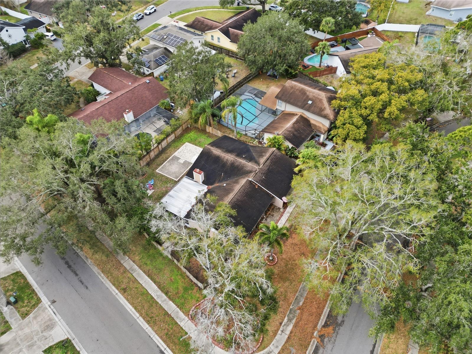 4602 Buckeye Road Tampa FL 33624 TB8444380 image35