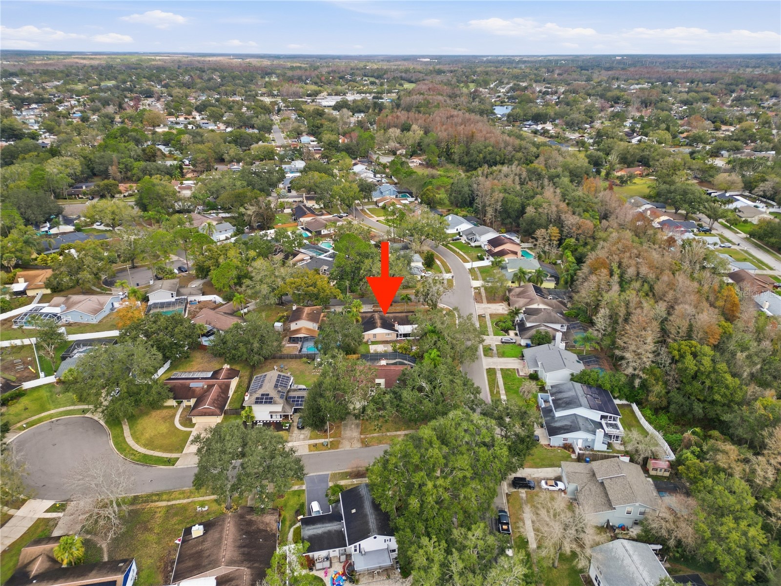 4602 Buckeye Road Tampa FL 33624 TB8444380 image36