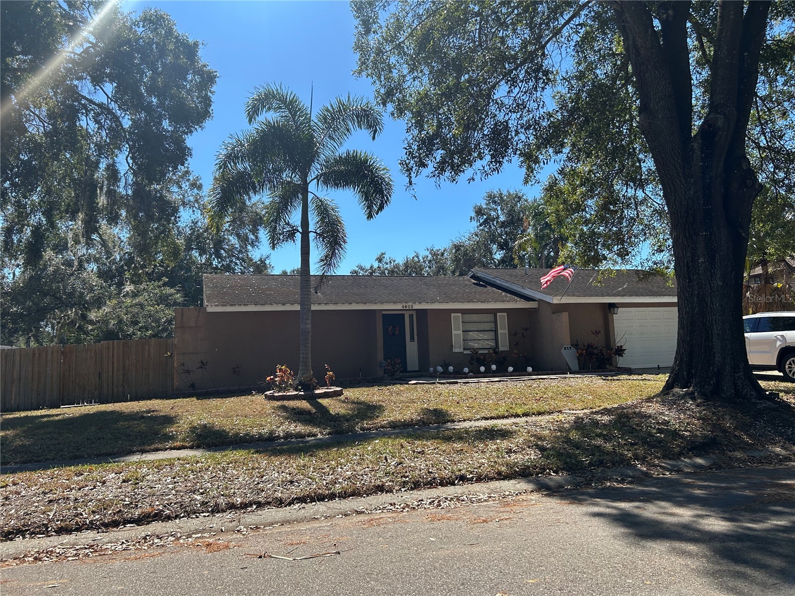 4602 Buckeye Road Tampa FL 33624 TB8444380 image4