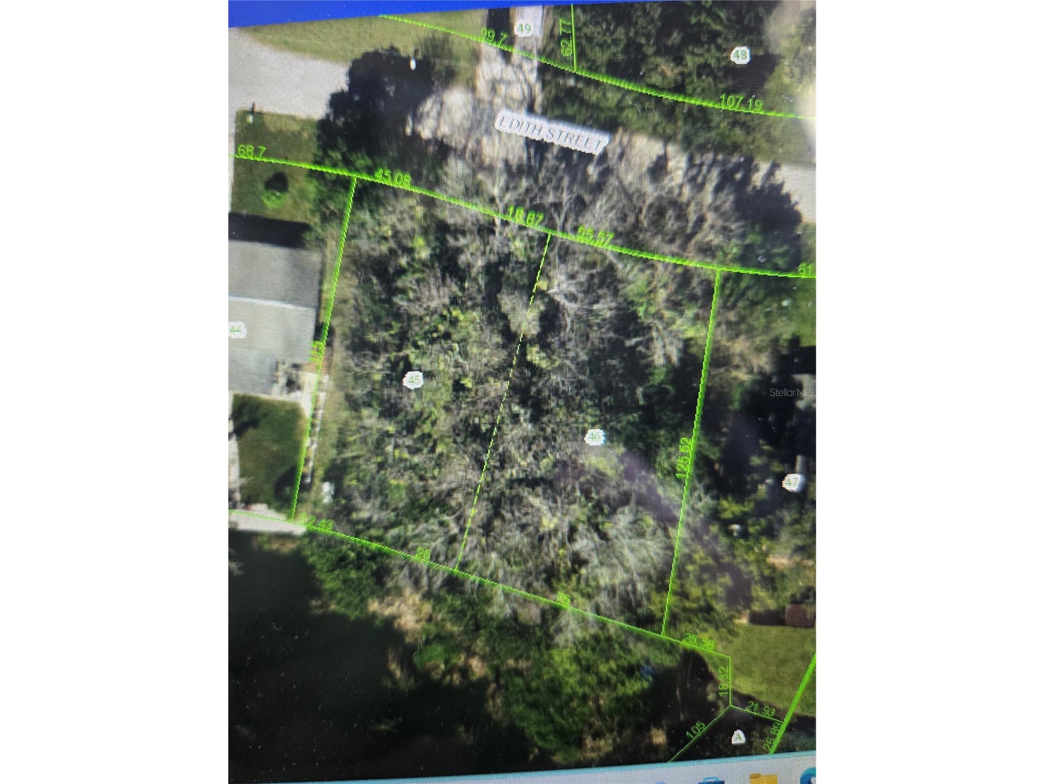 4602 Edith Street New Port Richey FL 34652 TB8497043 image2