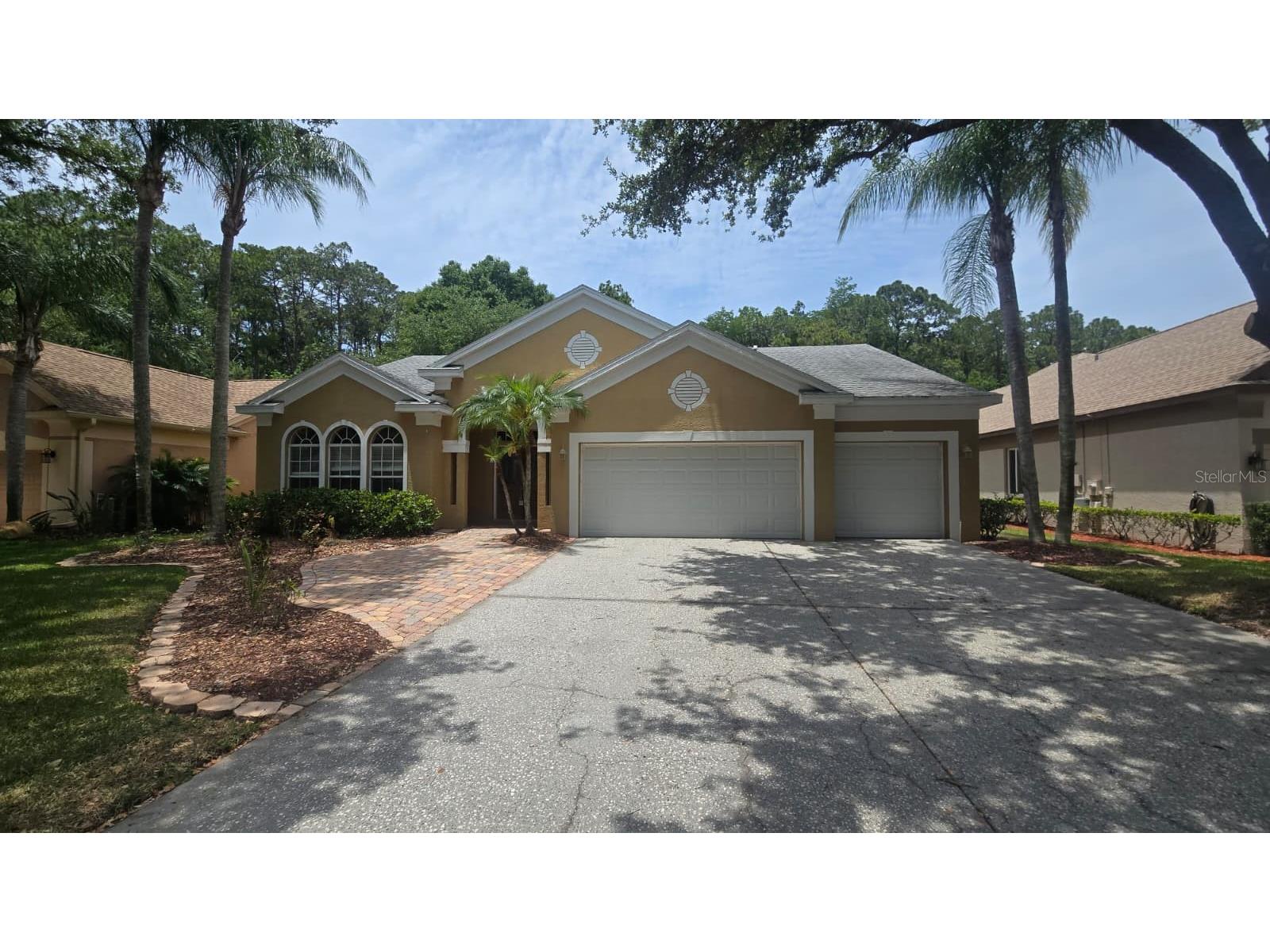 4602 Enright Drive Palm Harbor FL 34685 TB8512128 image1