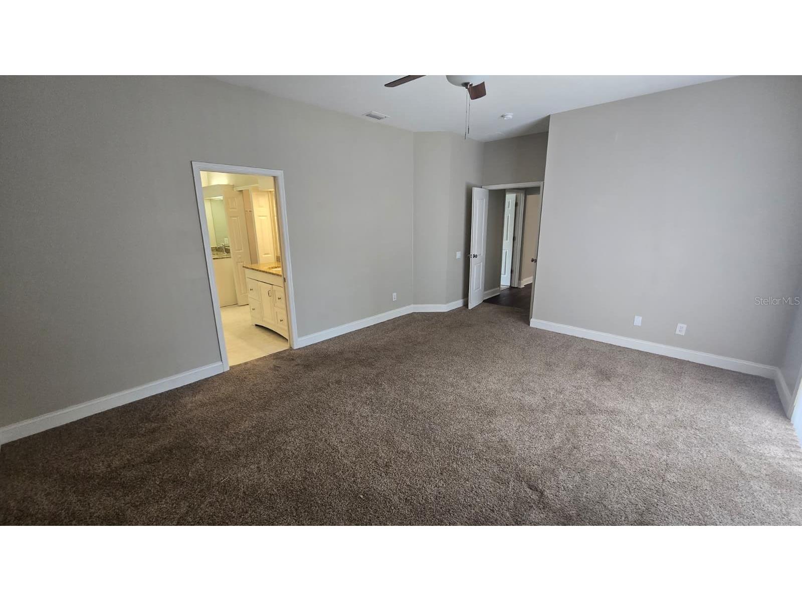 4602 Enright Drive Palm Harbor FL 34685 TB8512128 image4