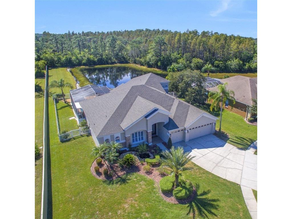 4602 Kilcoyne Court Lutz FL 33558 T3481009 image1