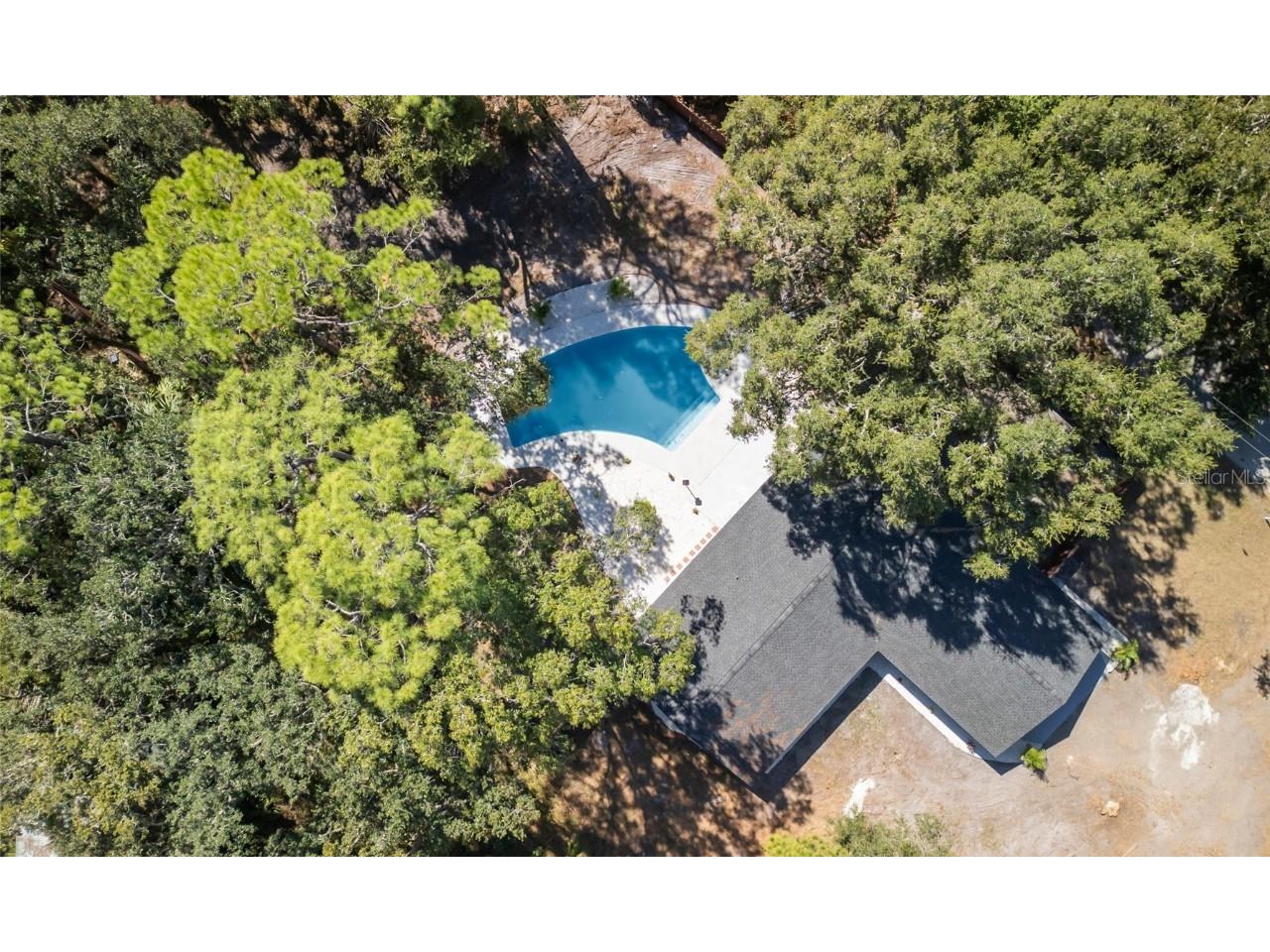 4602 Lithia Pinecrest Road Valrico FL 33596 A4669742 image2