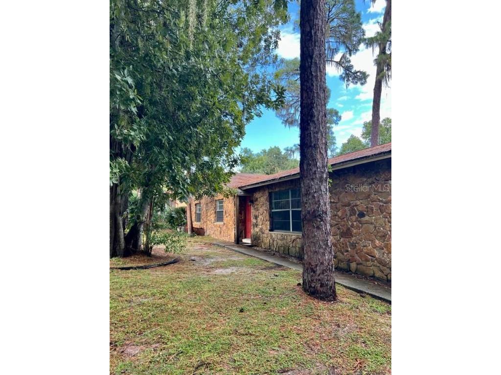 4602 River Hills Drive Tampa FL 33617 U8213213 image1