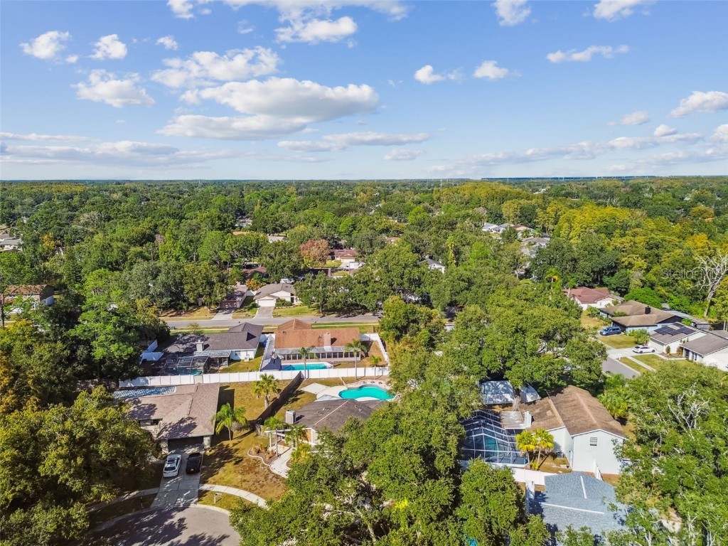 4603 Goldbud Lane Tampa FL 33624 TB8447334 image54