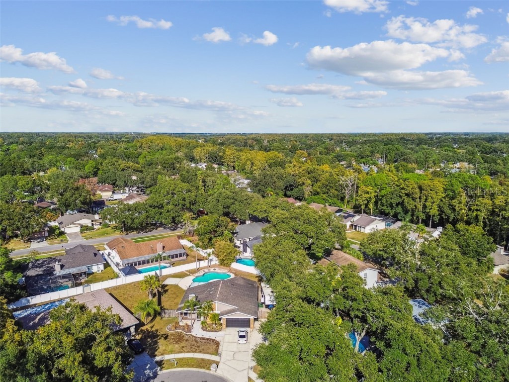 4603 Goldbud Lane Tampa FL 33624 TB8447334 image55