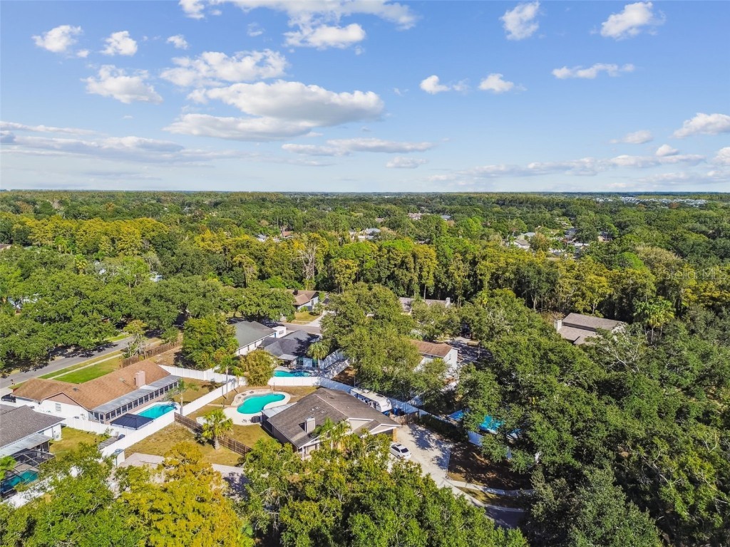 4603 Goldbud Lane Tampa FL 33624 TB8447334 image56