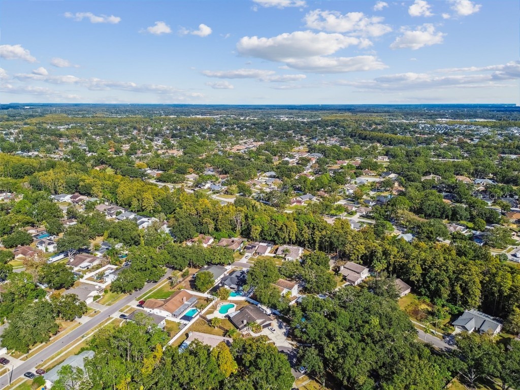 4603 Goldbud Lane Tampa FL 33624 TB8447334 image57