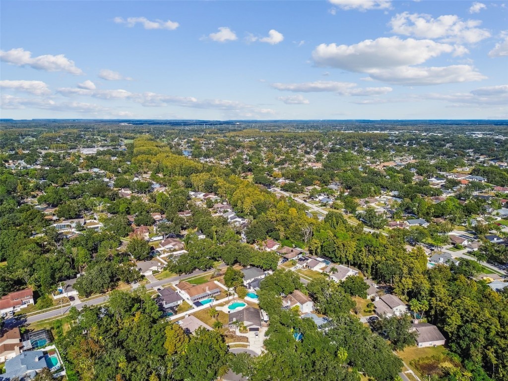 4603 Goldbud Lane Tampa FL 33624 TB8447334 image58