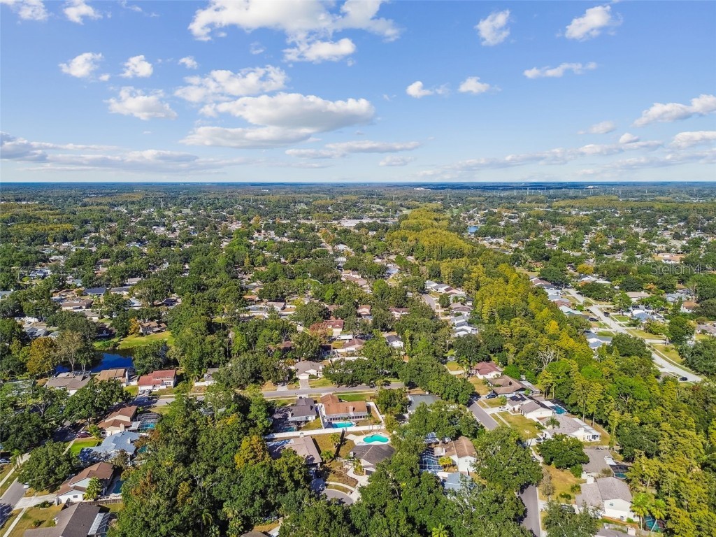 4603 Goldbud Lane Tampa FL 33624 TB8447334 image59