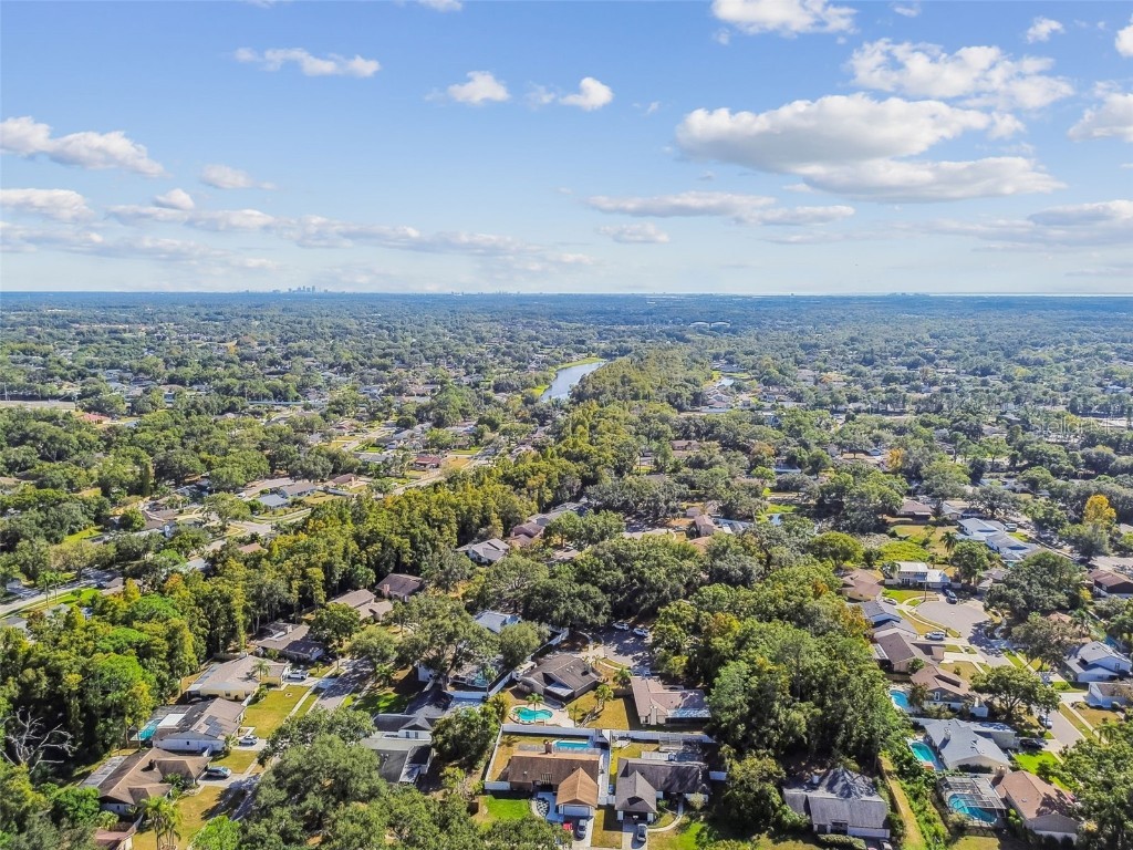 4603 Goldbud Lane Tampa FL 33624 TB8447334 image60