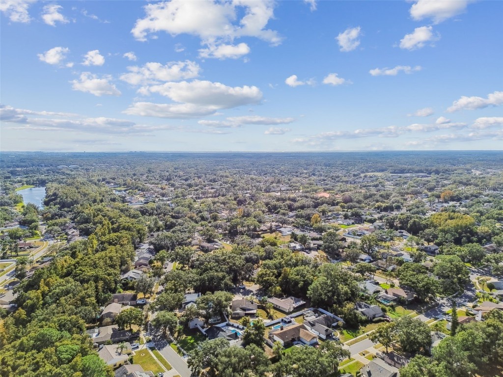 4603 Goldbud Lane Tampa FL 33624 TB8447334 image61