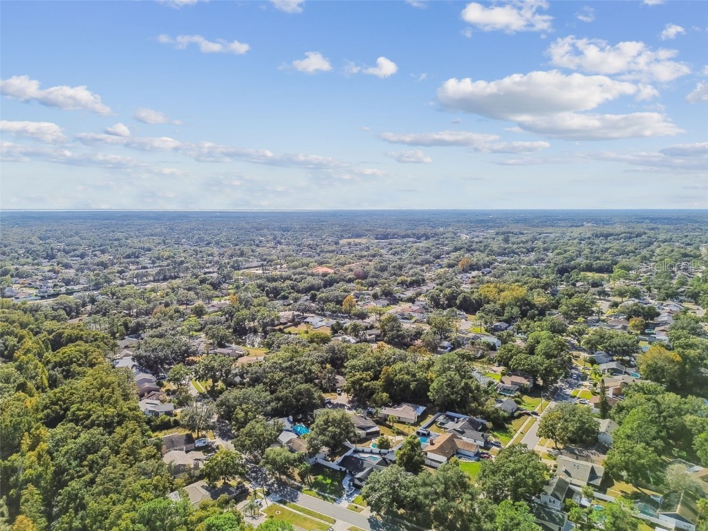 4603 Goldbud Lane Tampa FL 33624 TB8447334 image62