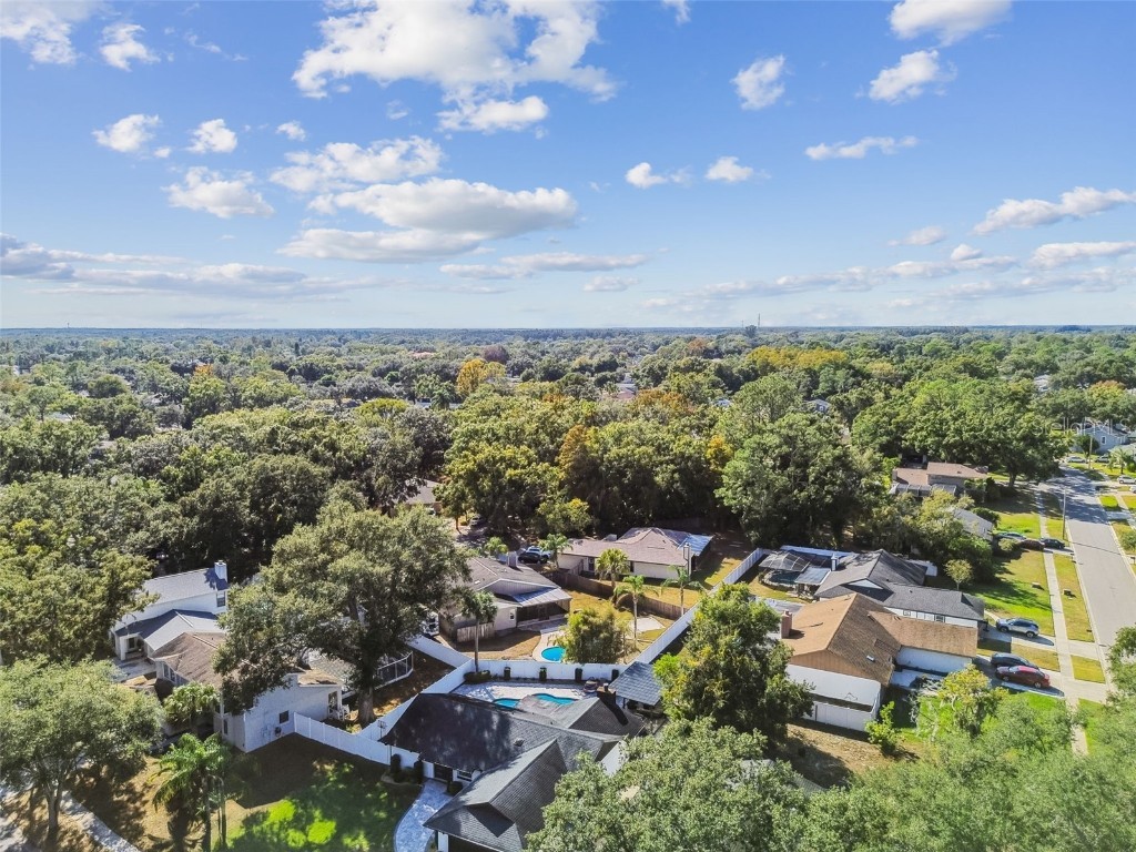 4603 Goldbud Lane Tampa FL 33624 TB8447334 image63