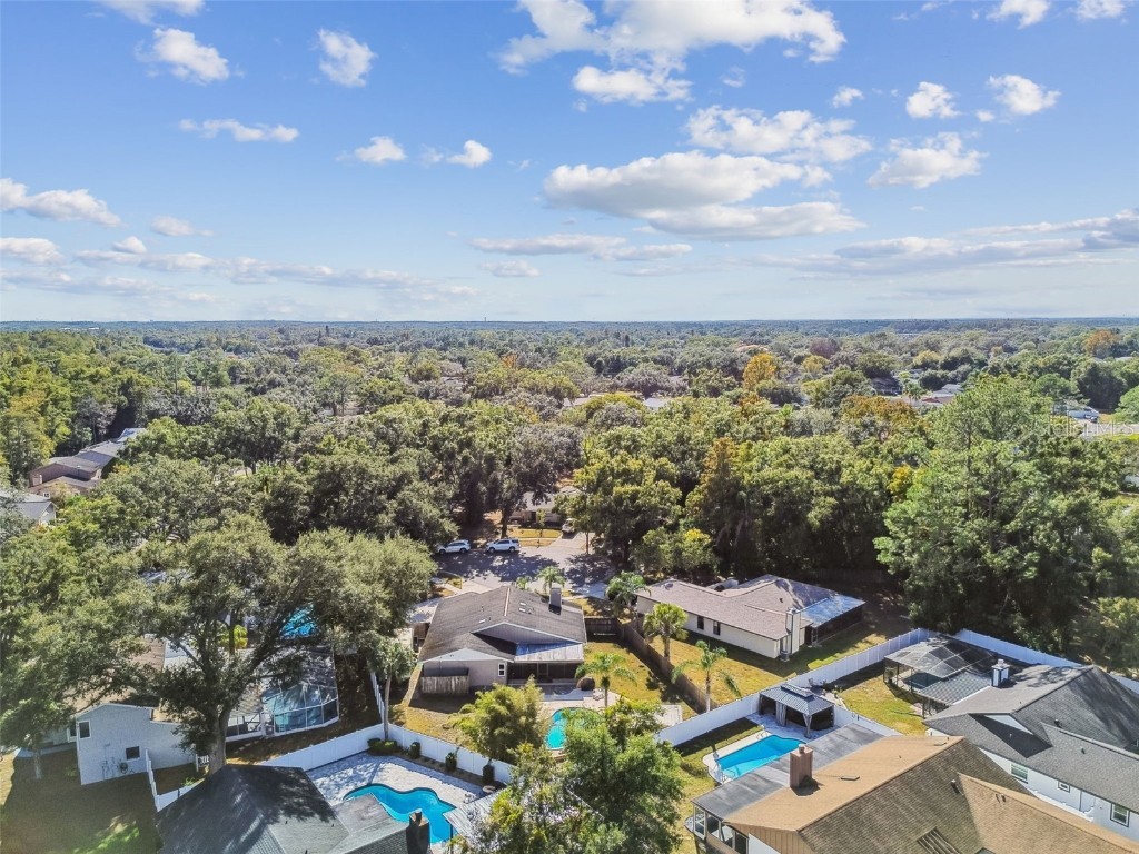 4603 Goldbud Lane Tampa FL 33624 TB8447334 image64