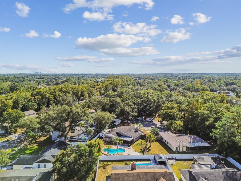 4603 Goldbud Lane Tampa FL 33624 TB8447334 image65