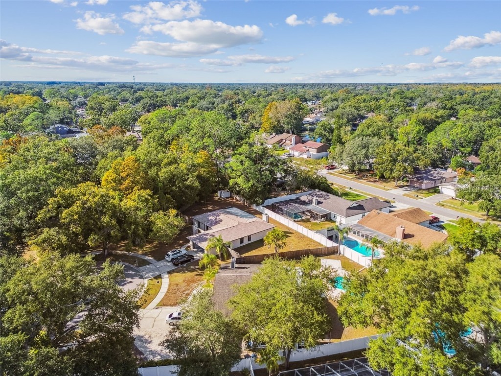 4603 Goldbud Lane Tampa FL 33624 TB8447334 image71