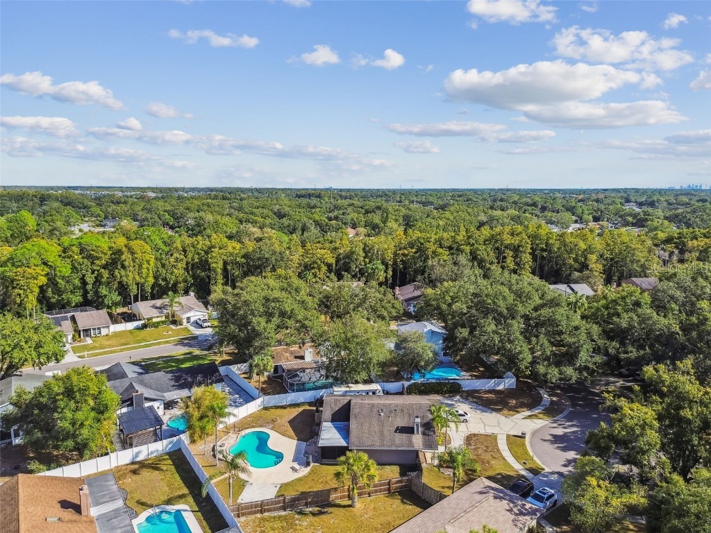 4603 Goldbud Lane Tampa FL 33624 TB8447334 image72