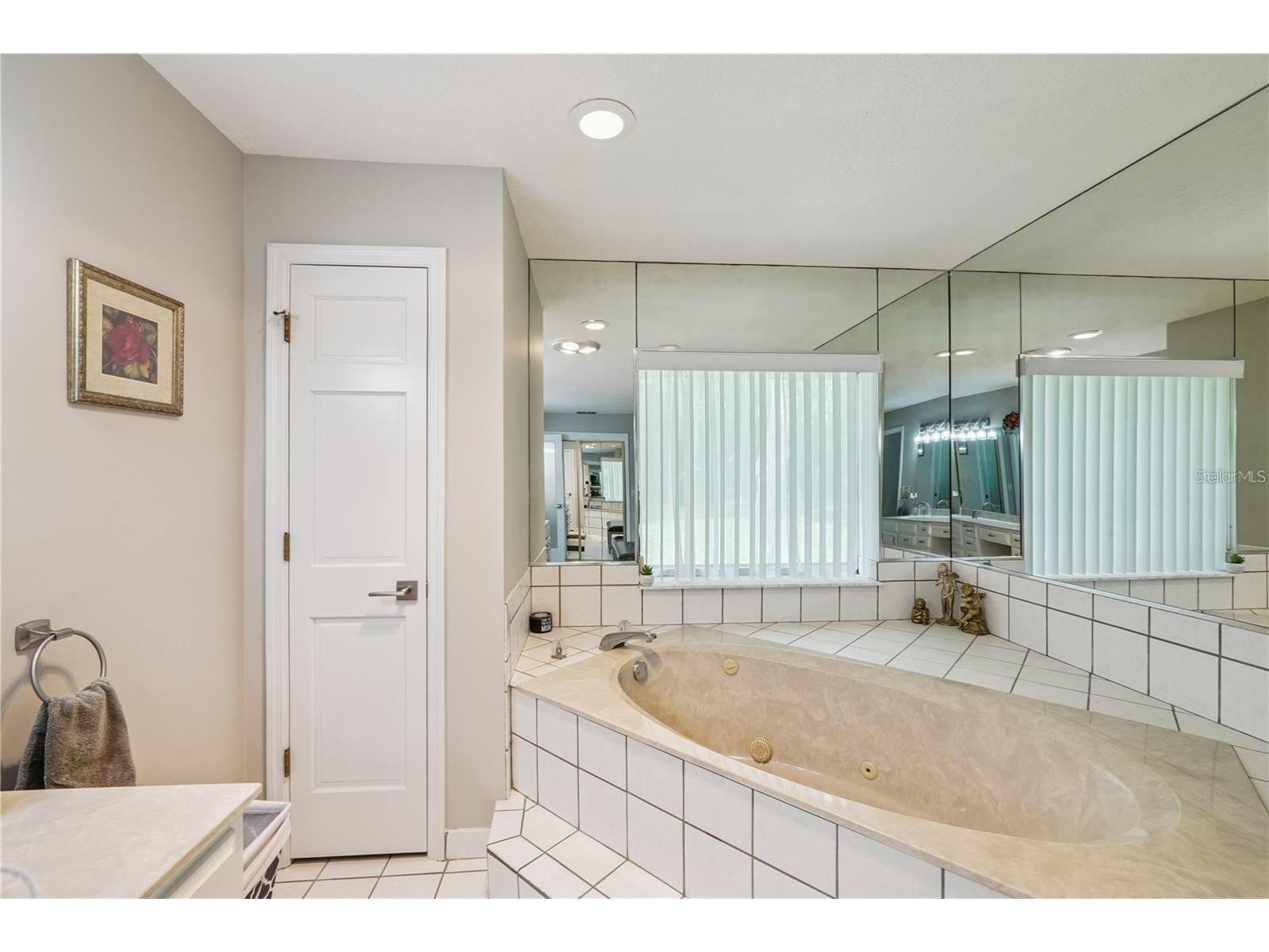 4603 Lake In The Woods Drive Spring Hill FL 34607 TB8464611 image12